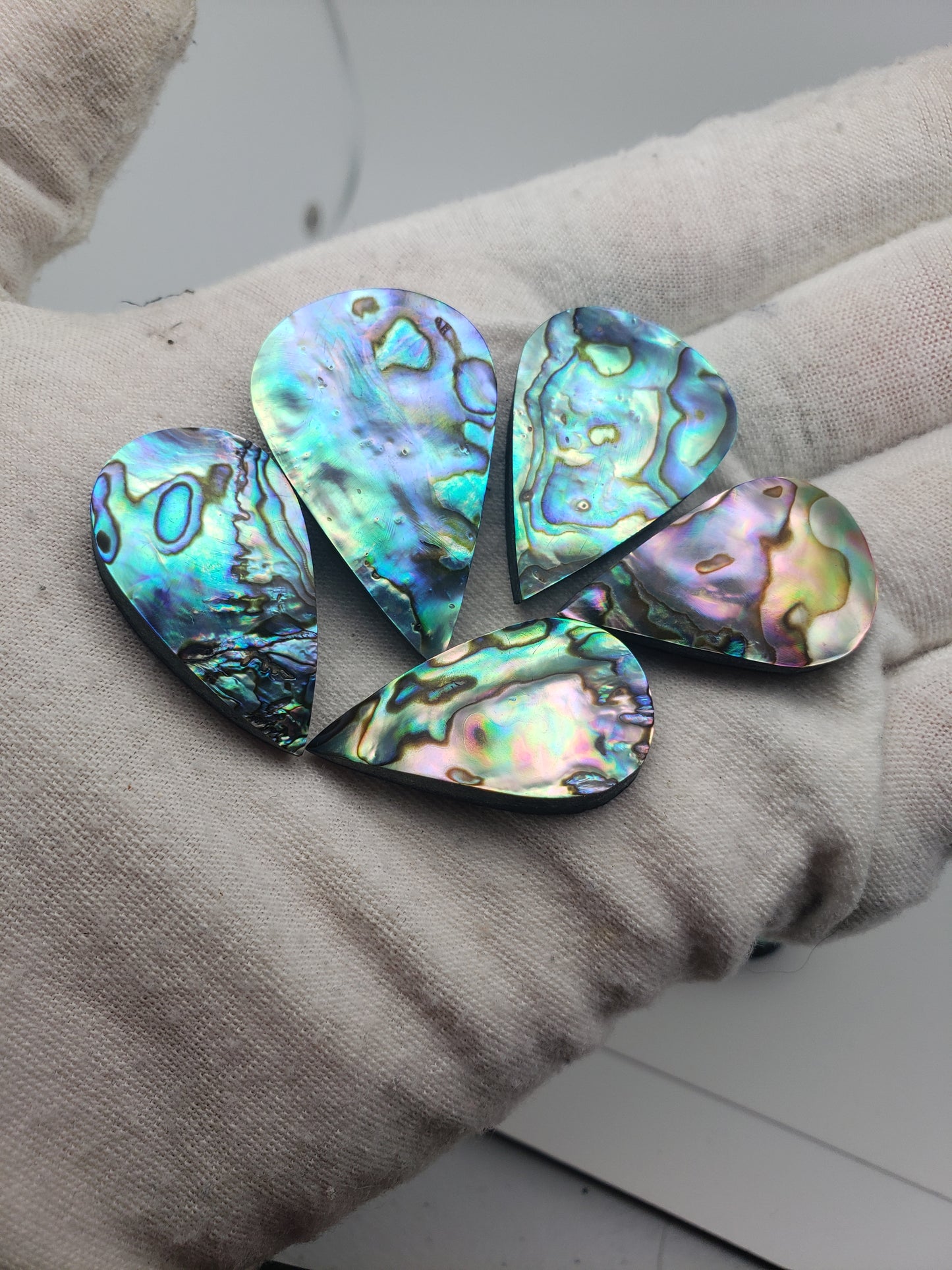 Abalone Cabochons - Pears and Rectangles - Medium Size