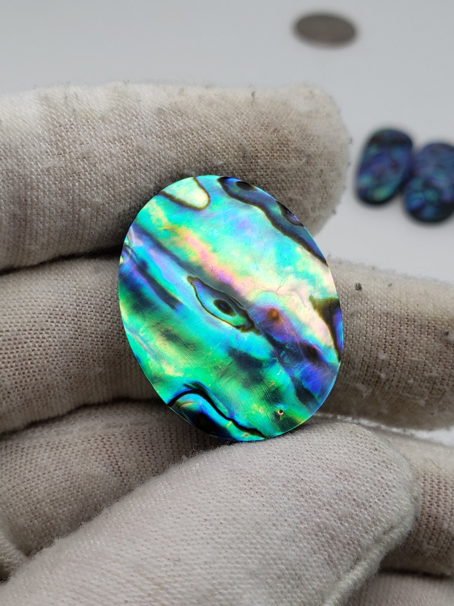 Abalone Cabochons - Medium Ovals