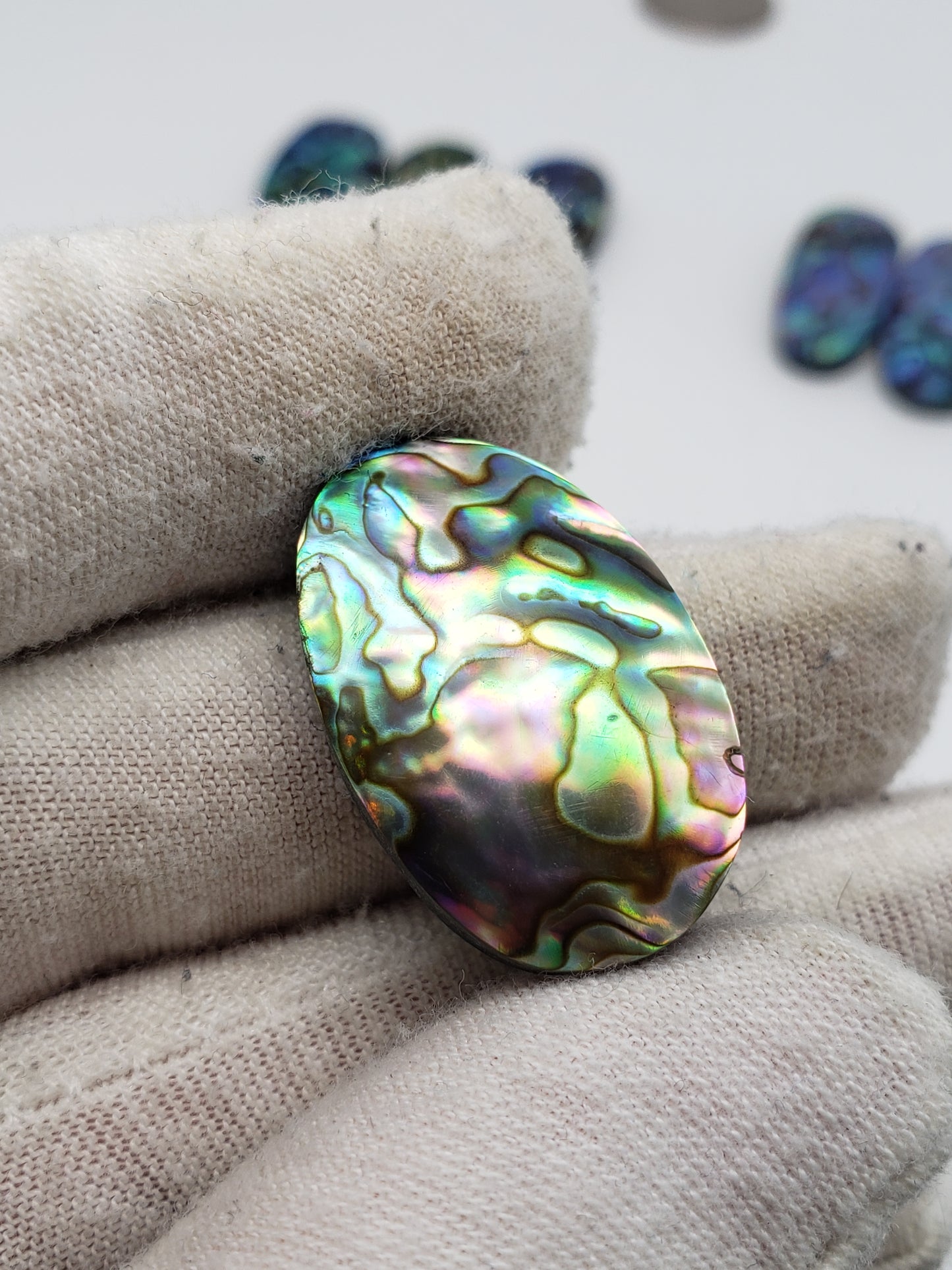 Abalone Cabochons - Medium Ovals