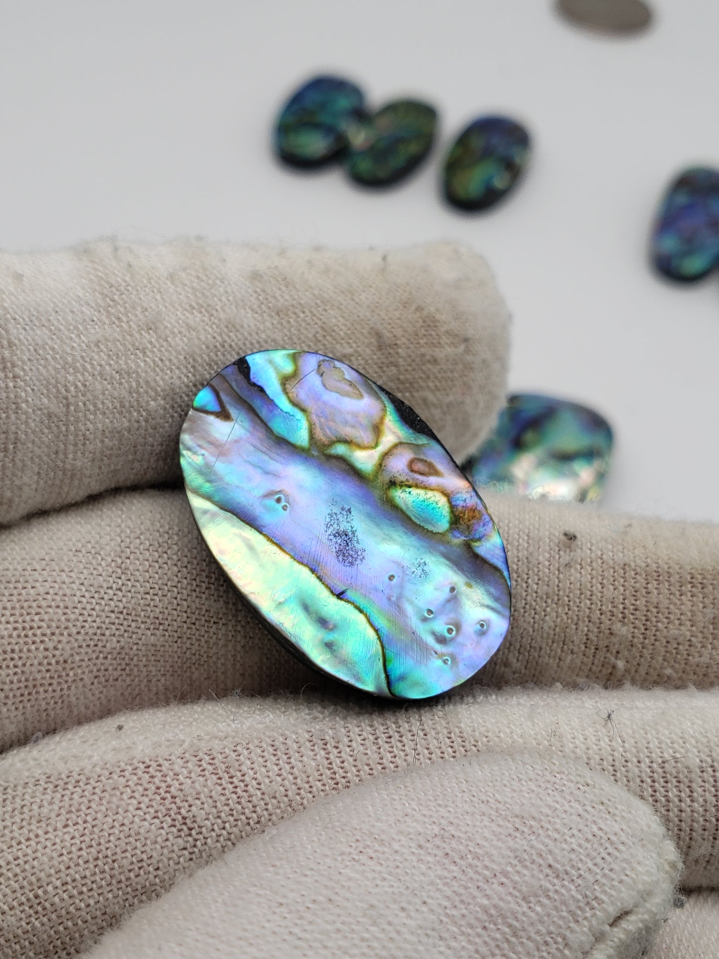 Abalone Cabochons - Medium Ovals