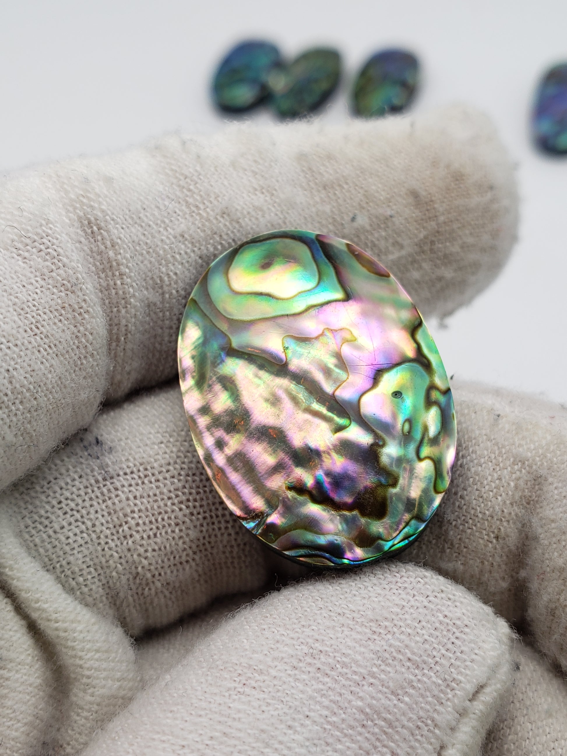 Abalone Shell Oval Beads • 8x12 mm Size • 40 cm length • AAA Quality • –  GARNET IMPEX USA