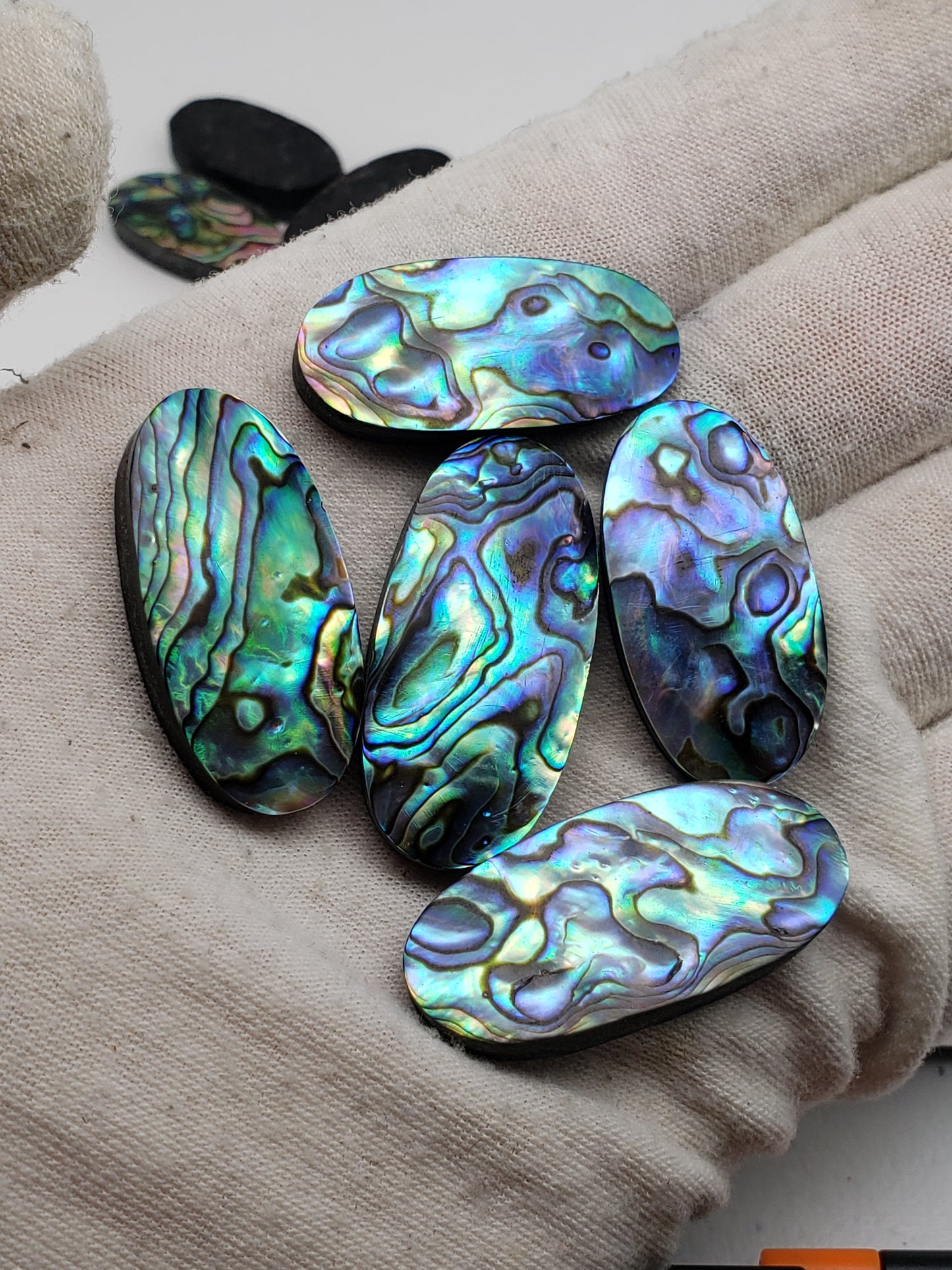 Abalone Cabochons - Medium Ovals