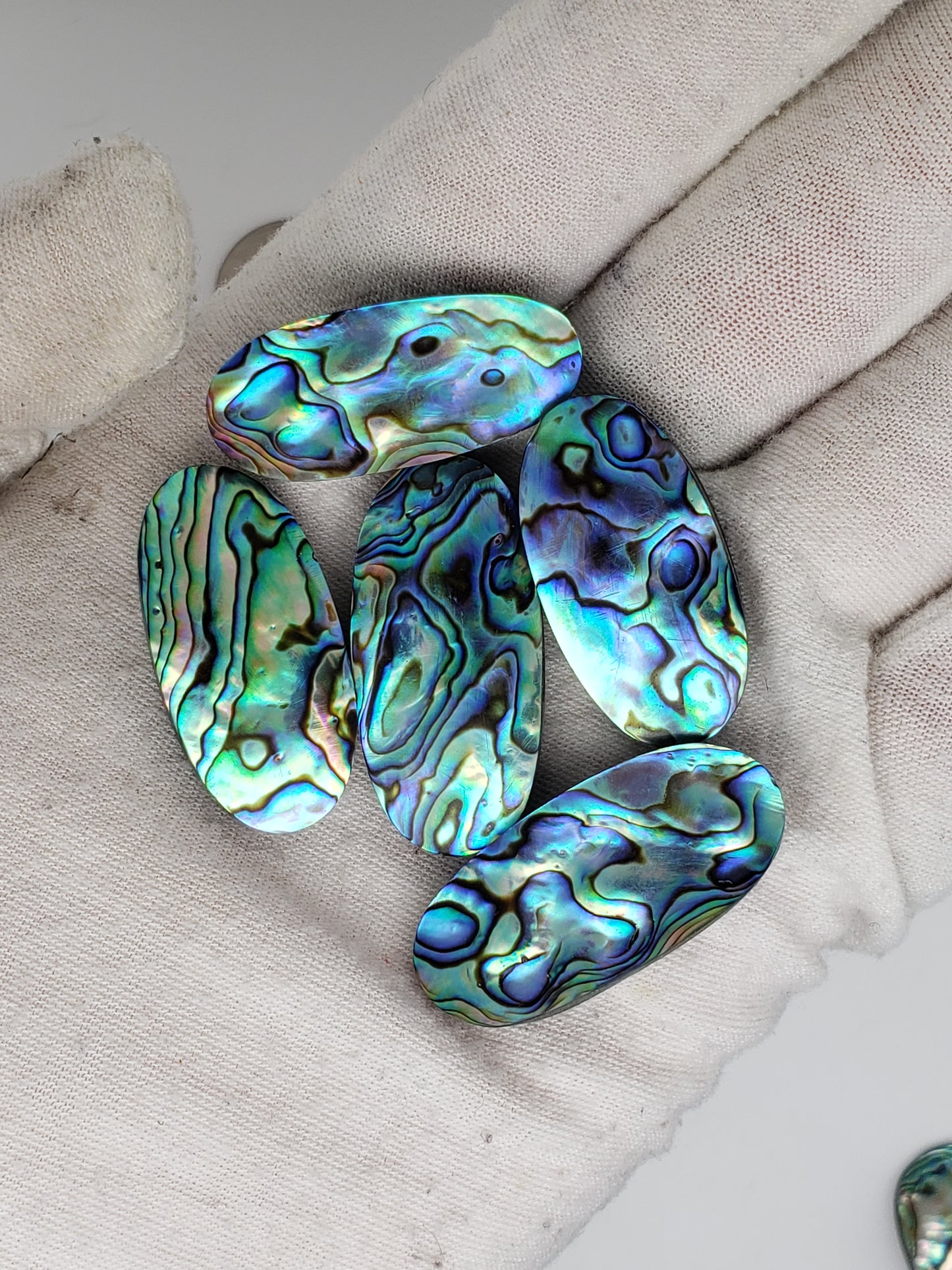 Abalone Cabochons - Medium Ovals