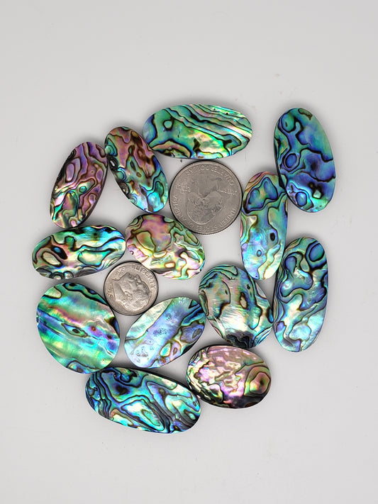 Abalone Cabochons - Medium Ovals