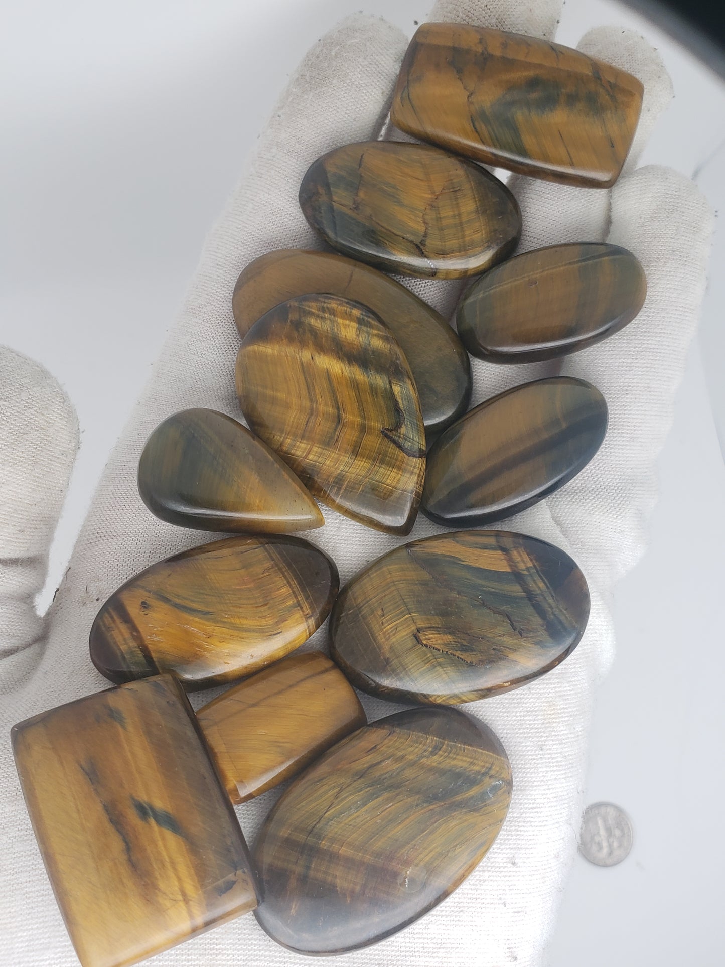 Tigers Eye - All Flashy - Medium Size