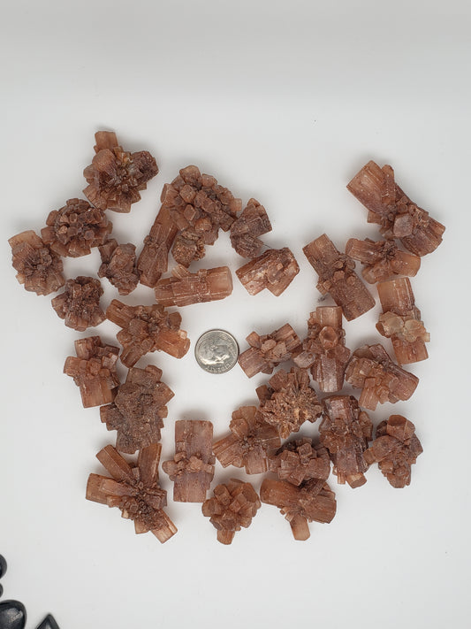 Aragonite Star Clusters - Medium Size