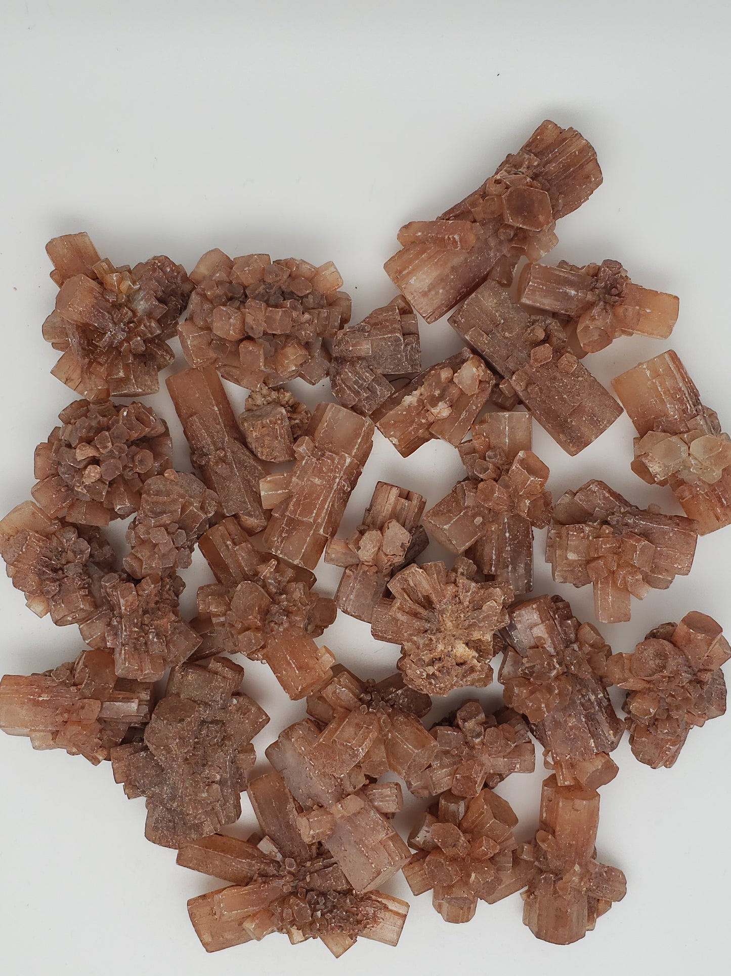 Aragonite Star Clusters - Medium Size