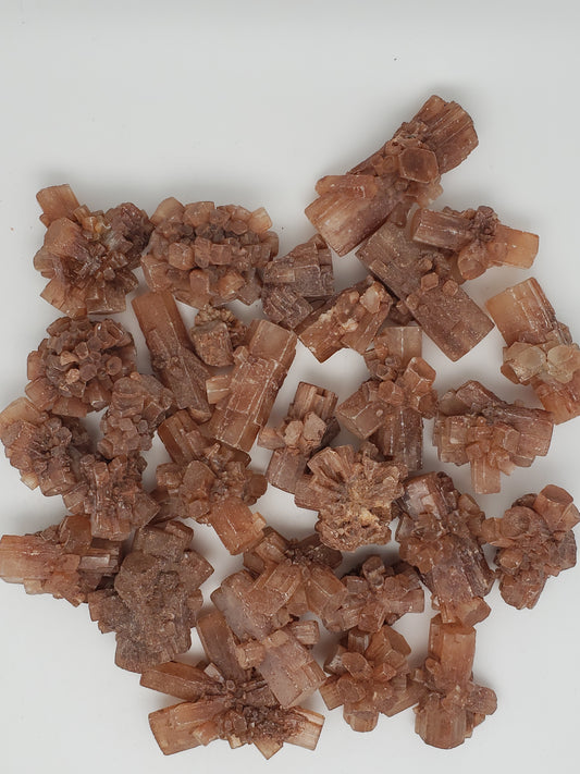 Aragonite Star Clusters - Medium Size