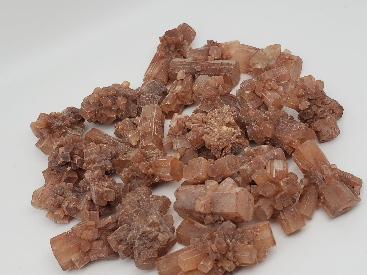 Aragonite Star Clusters - Medium Size