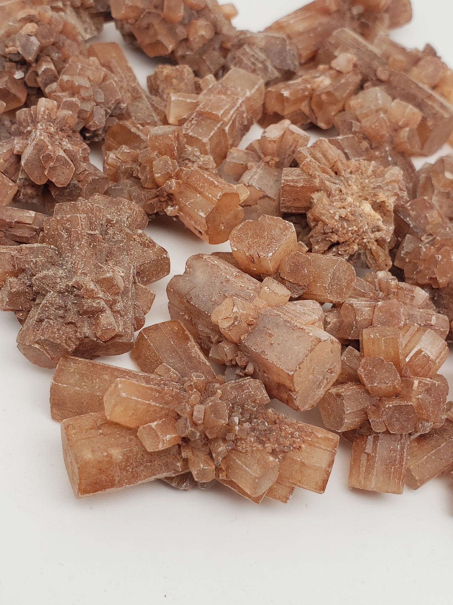 Aragonite Star Clusters - Medium Size