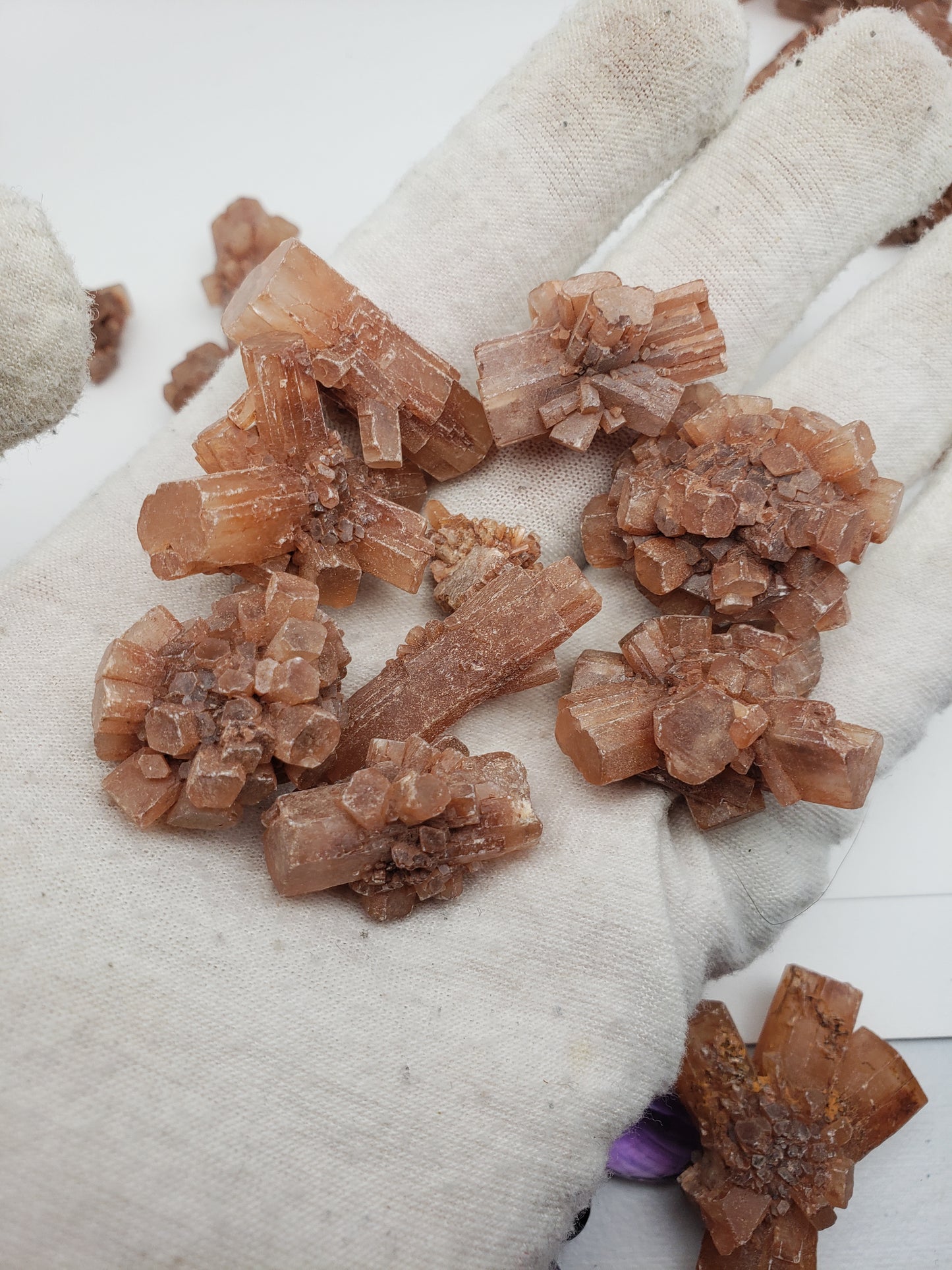 Aragonite Star Clusters - Medium Size