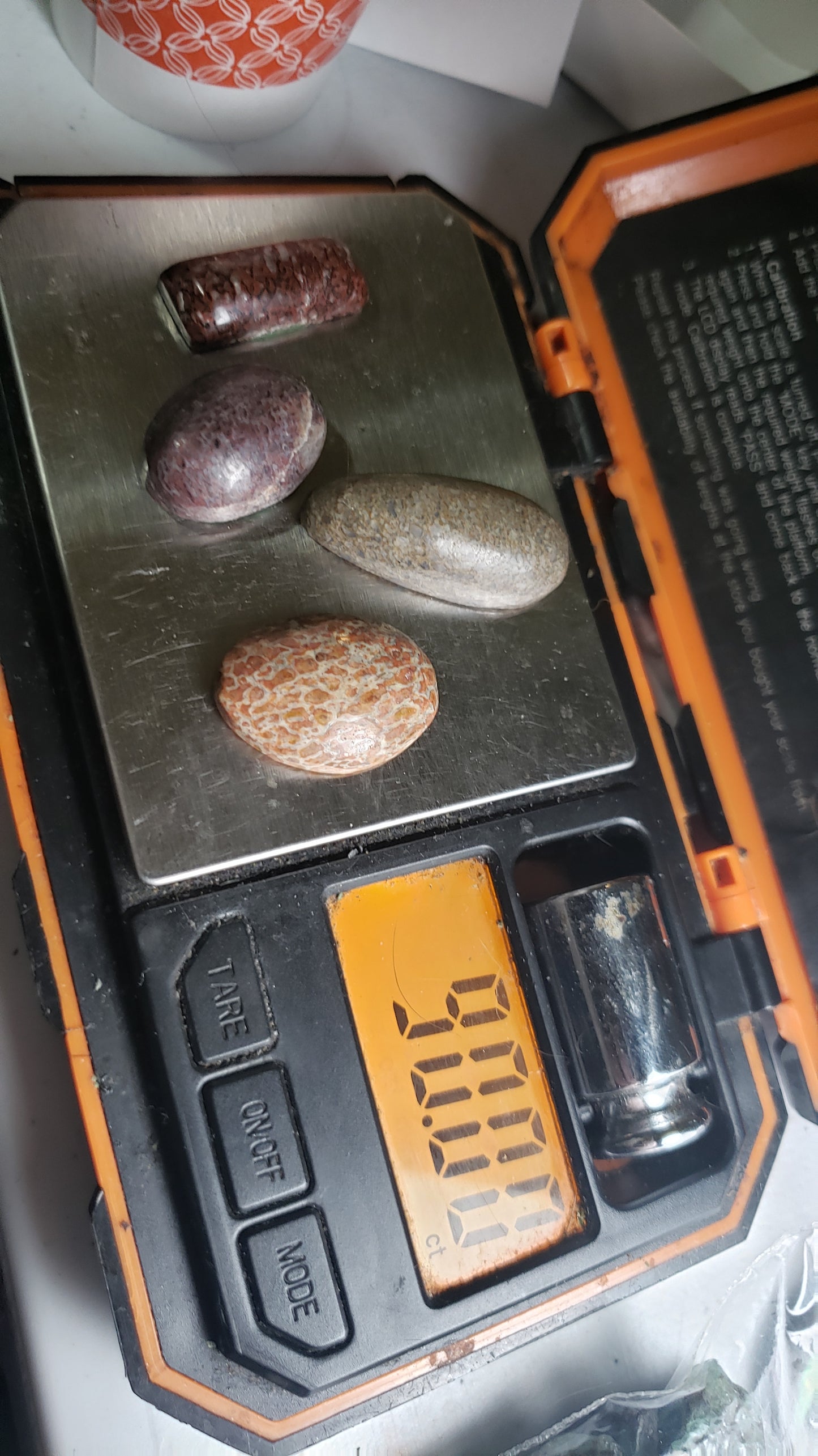 Dino Fossil Cabochons - Gembone Lot 1