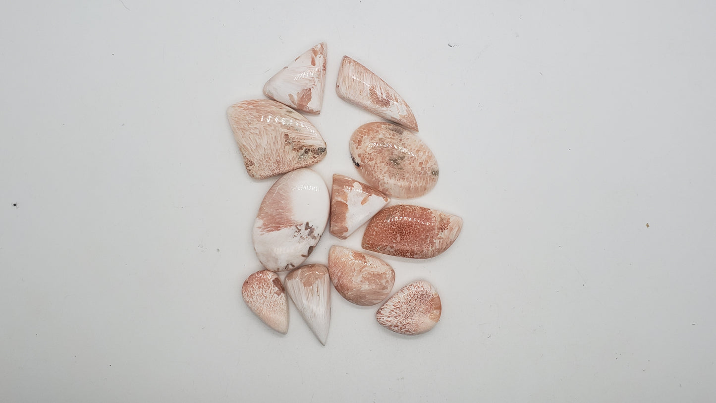 Pink Scolecite Cabochon Lot - 11 pieces - Whole Lot