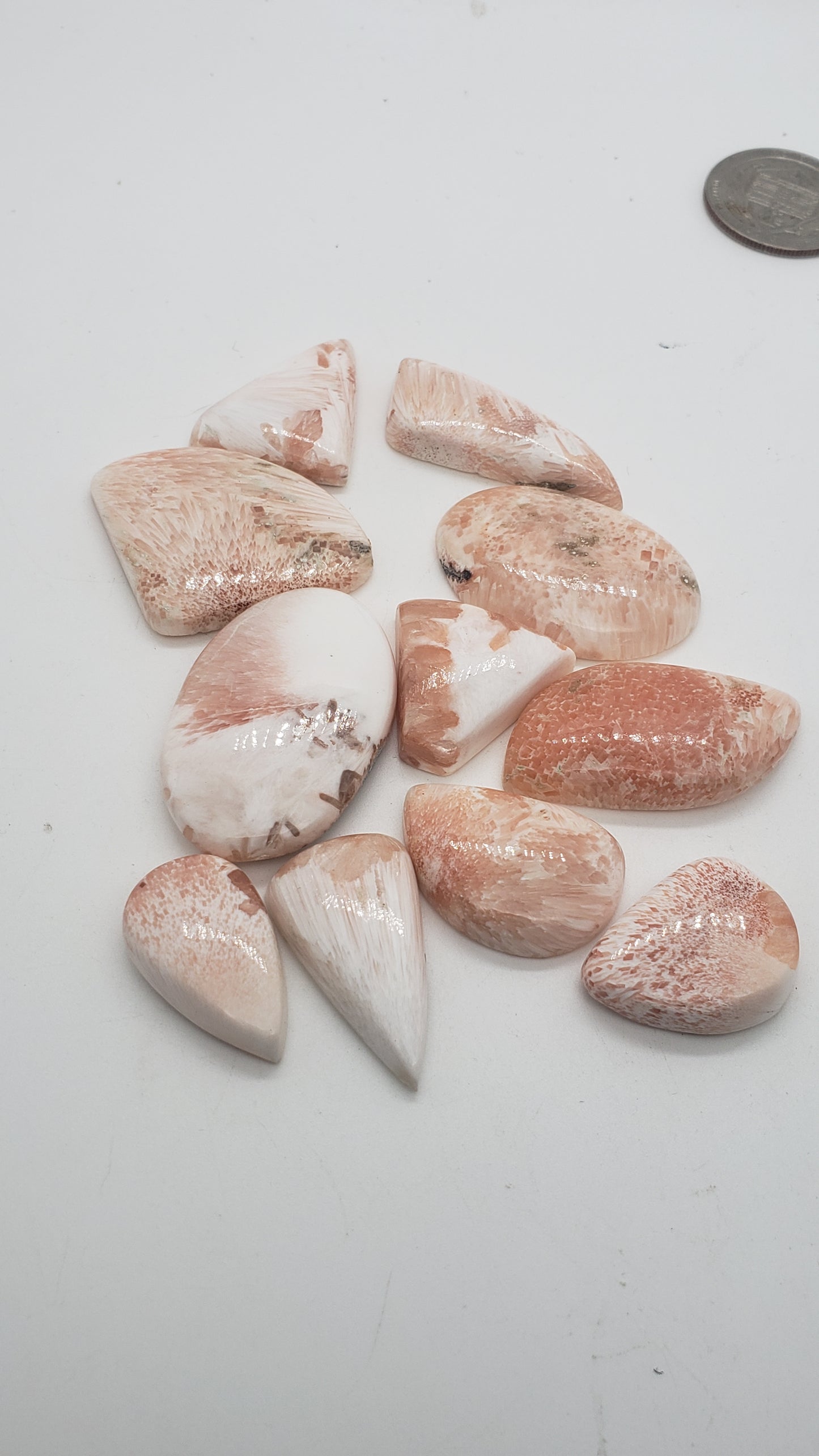 Pink Scolecite Cabochon Lot - 11 pieces - Whole Lot