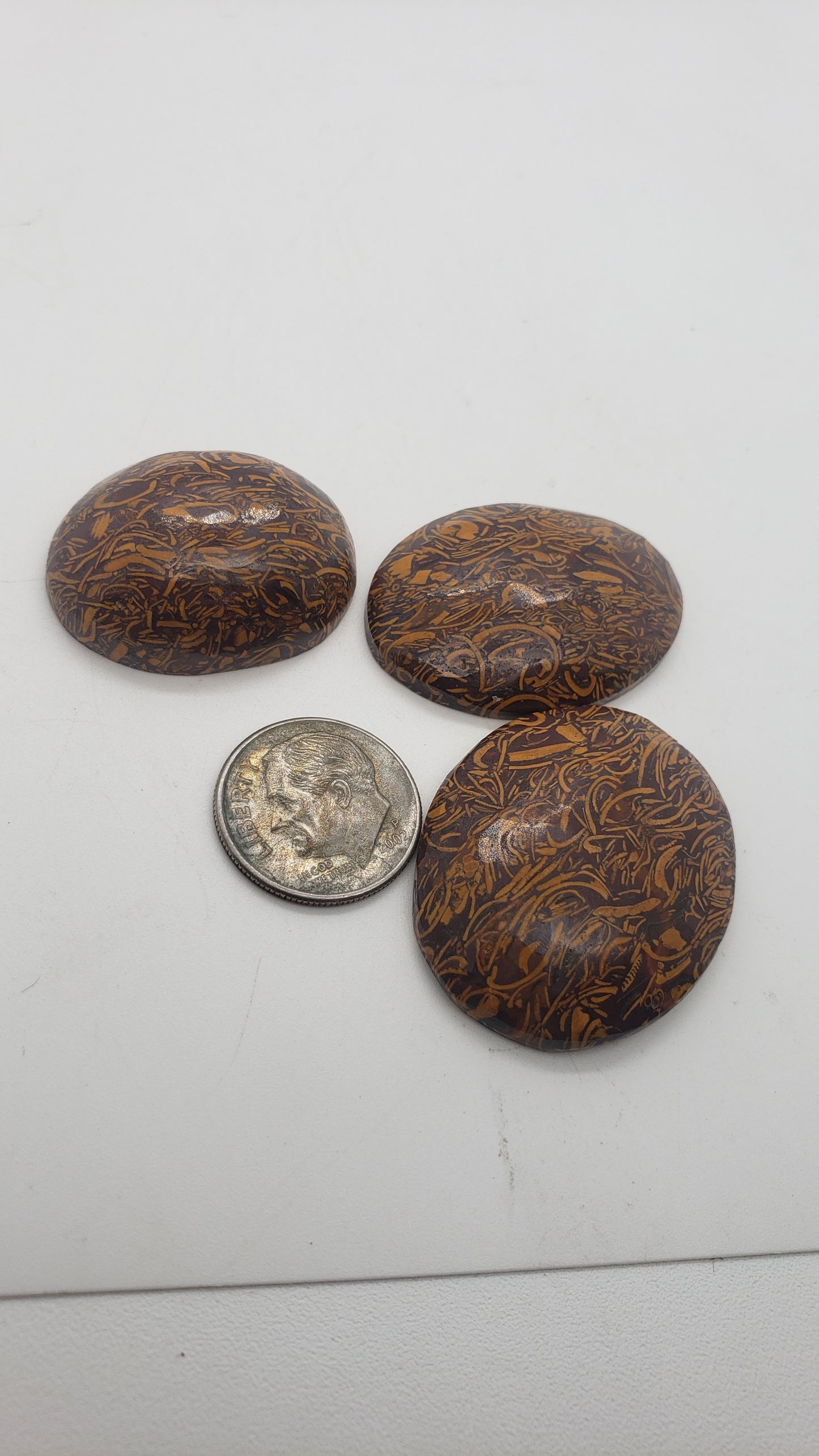 Coquina Jasper Cabs (AKA: Calligraphy, cursive, or script stone)