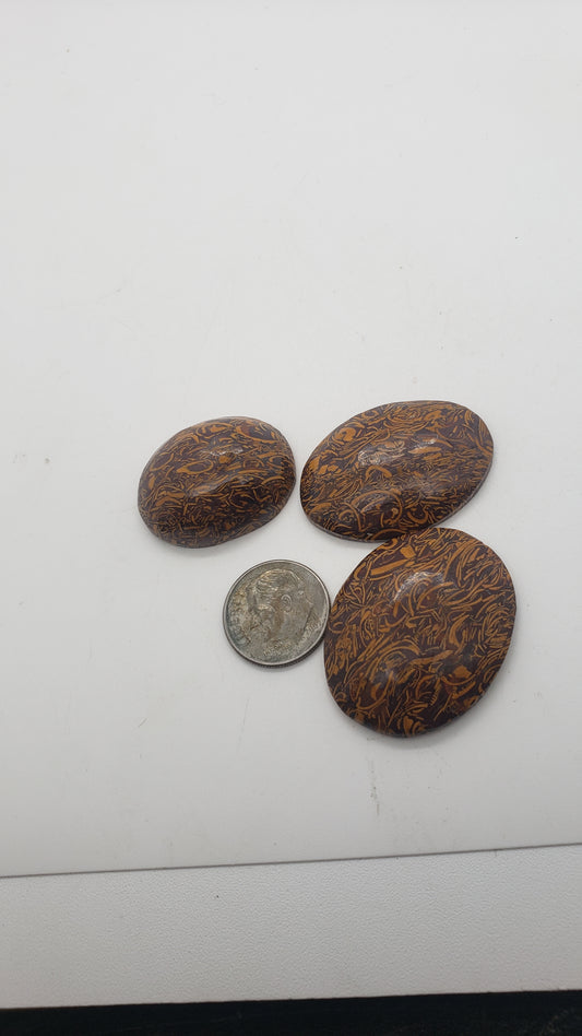 Coquina Jasper Cabs (AKA: Calligraphy, cursive, or script stone)