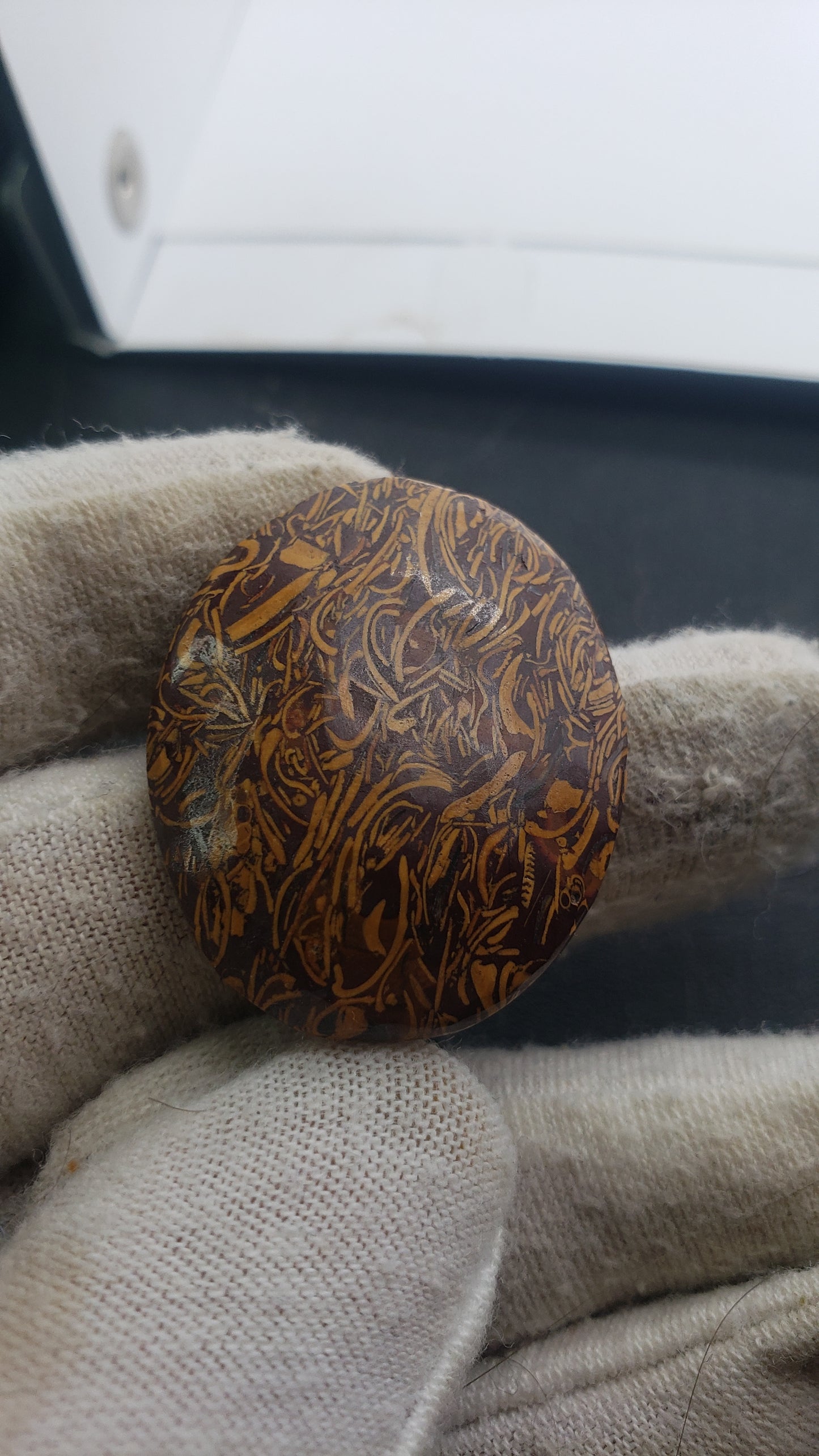 Coquina Jasper Cabs (AKA: Calligraphy, cursive, or script stone)