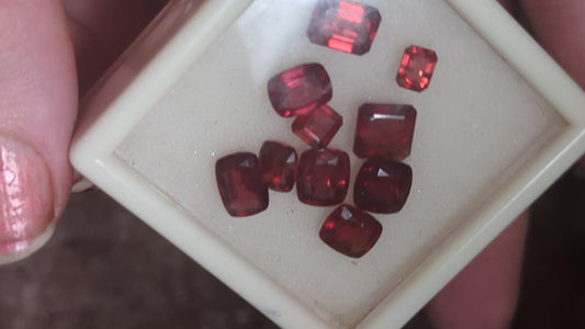 Rhodolite Garnet Facets - 10 pcs - 20.5cts - Whole Lot