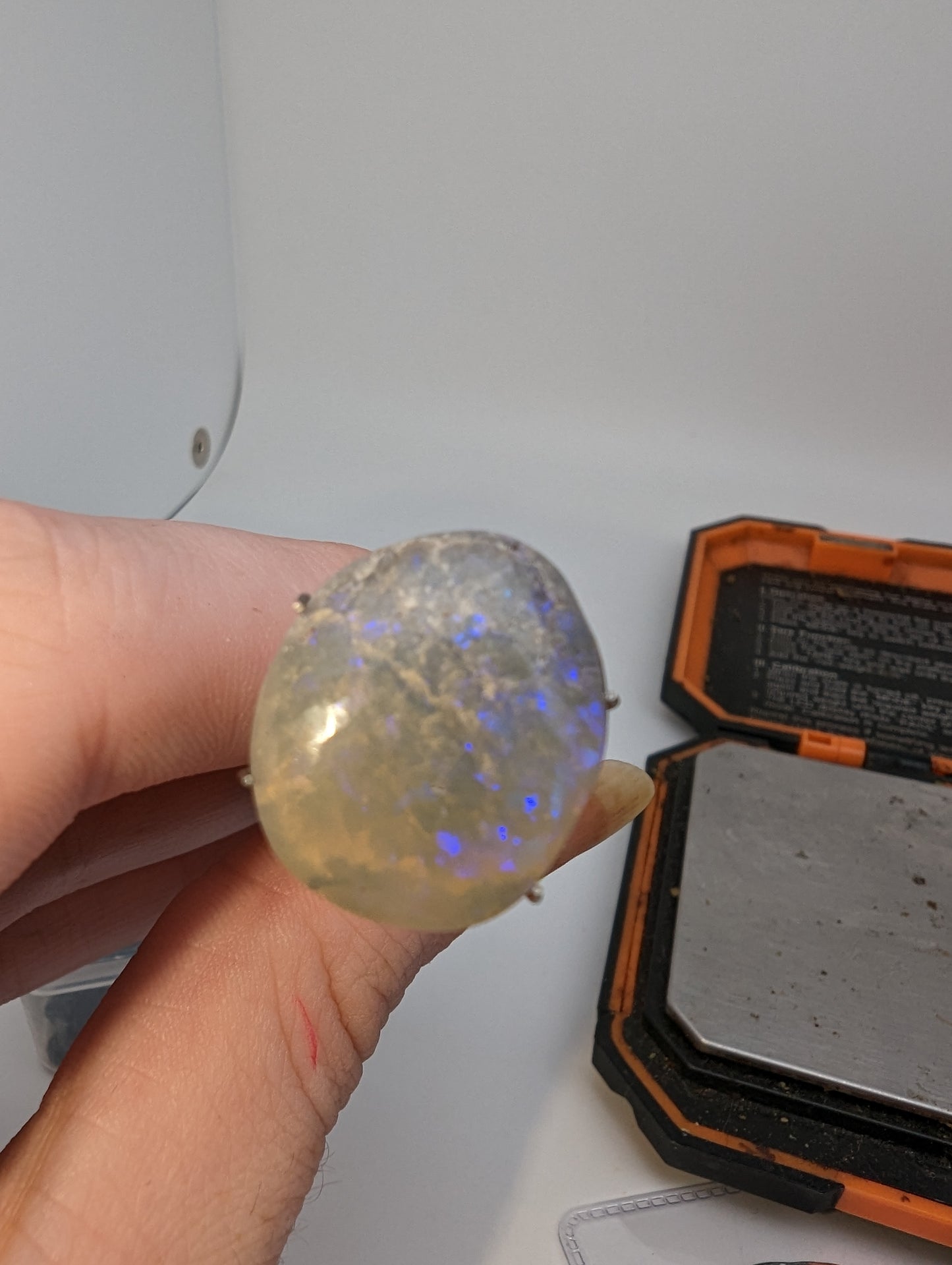 Lightning Ridge Freeform Opal Cab 10cts