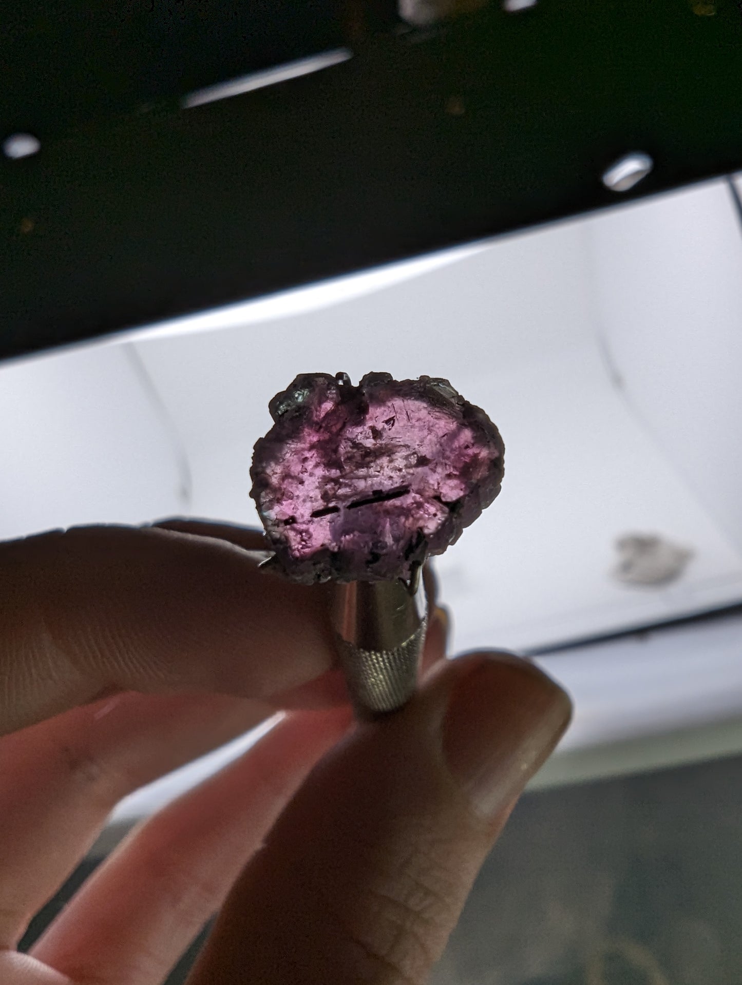 Pink Tourmaline Slice - 12.4mm - 4.65cts