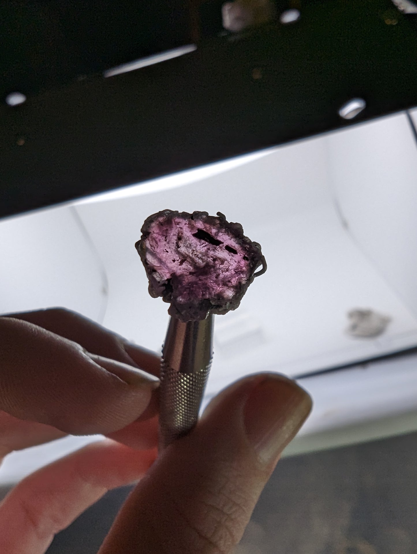 Pink Tourmaline Slice - 12.4mm - 4.65cts