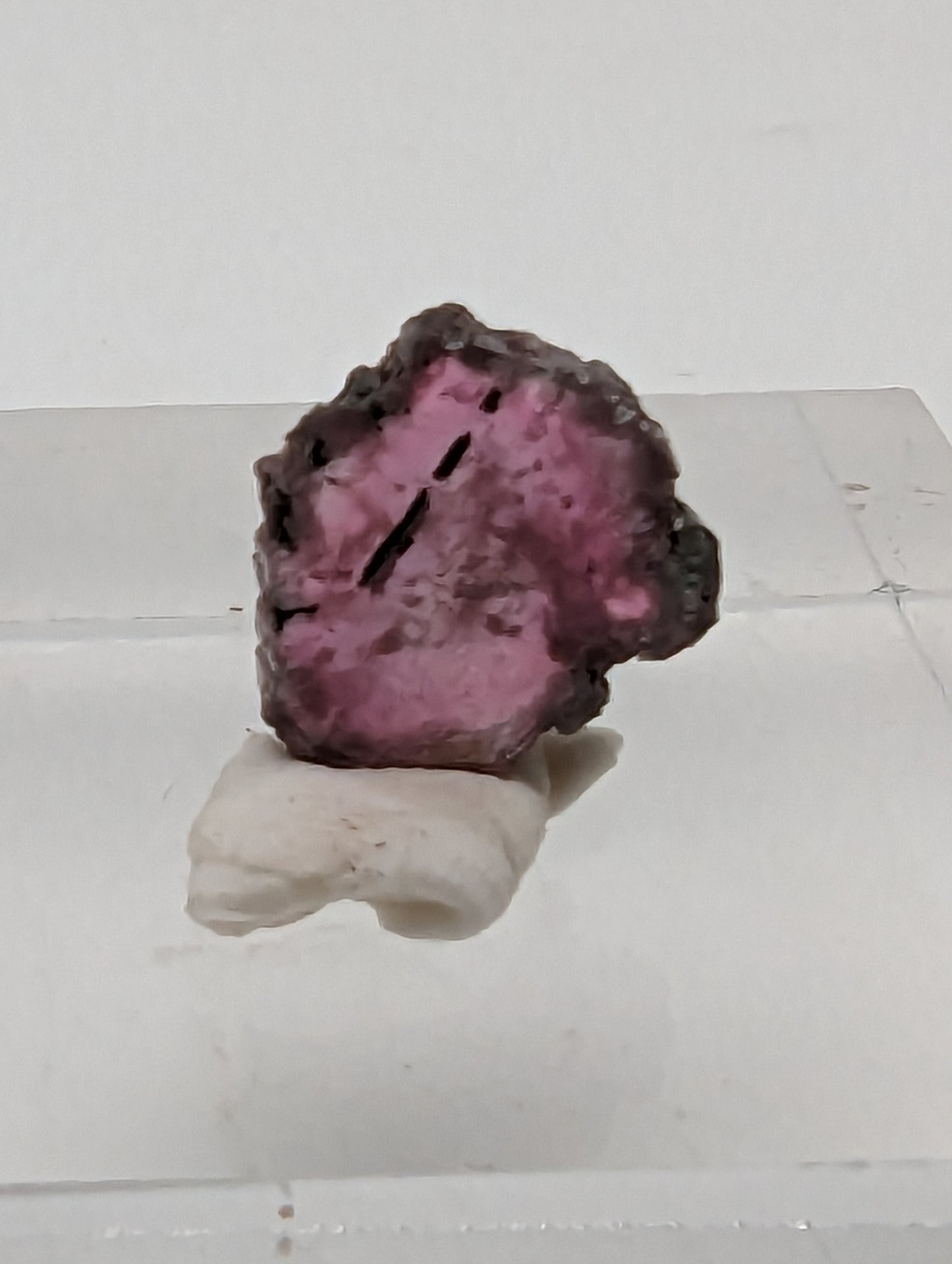 Pink Tourmaline Slice - 12.4mm - 4.65cts