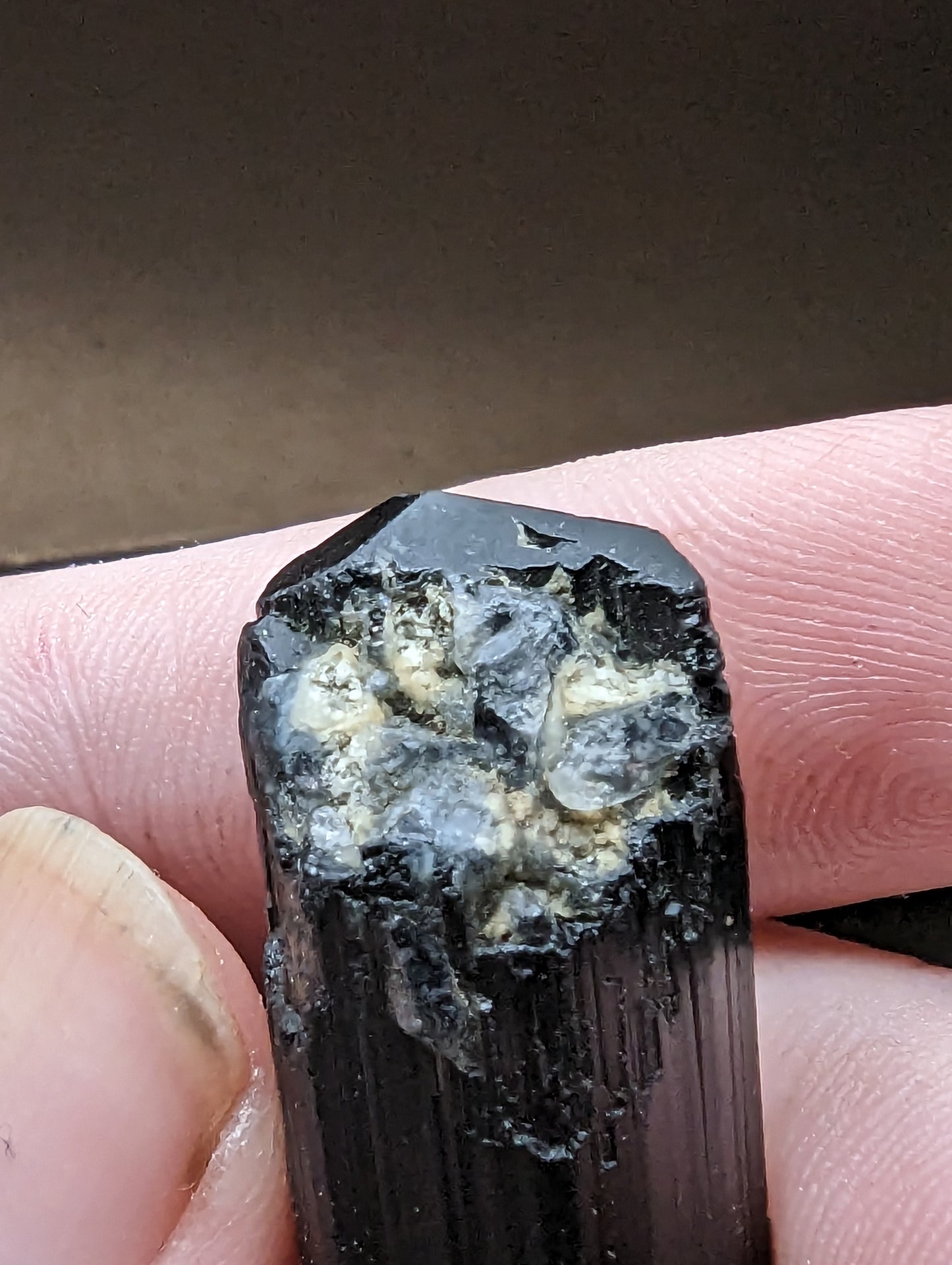 Black Tourmaline - Double Terminated - Quartz Crystal Growth