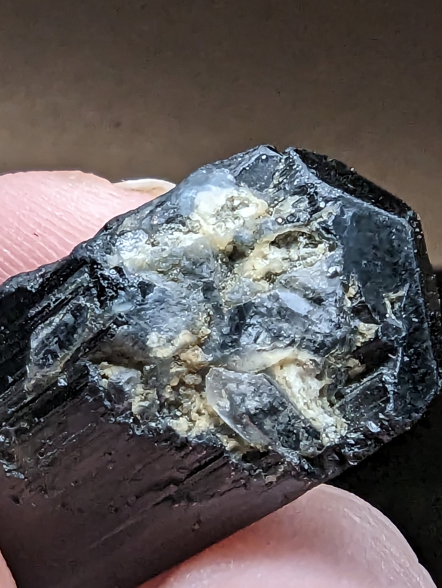 Black Tourmaline - Double Terminated - Quartz Crystal Growth