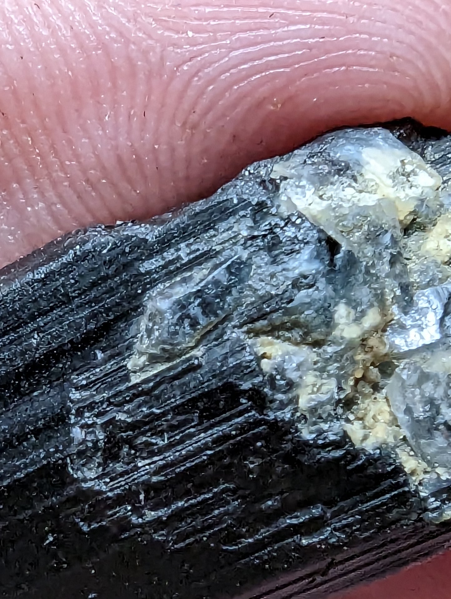 Black Tourmaline - Double Terminated - Quartz Crystal Growth