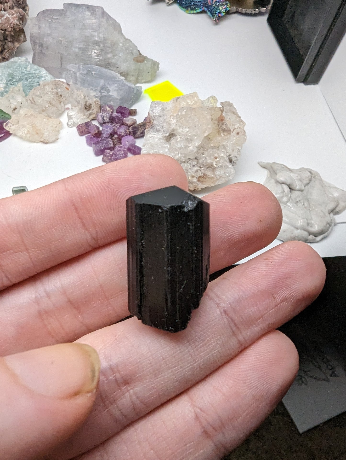 Black Tourmaline - Double Terminated - Quartz Crystal Growth