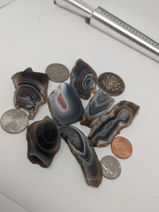 Botswana Agate Slices - 7 piece lot