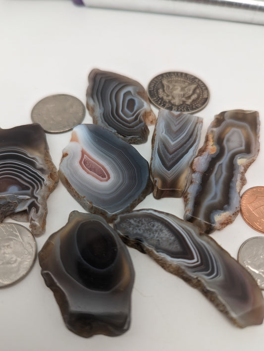 Botswana Agate Slices - 7 piece lot