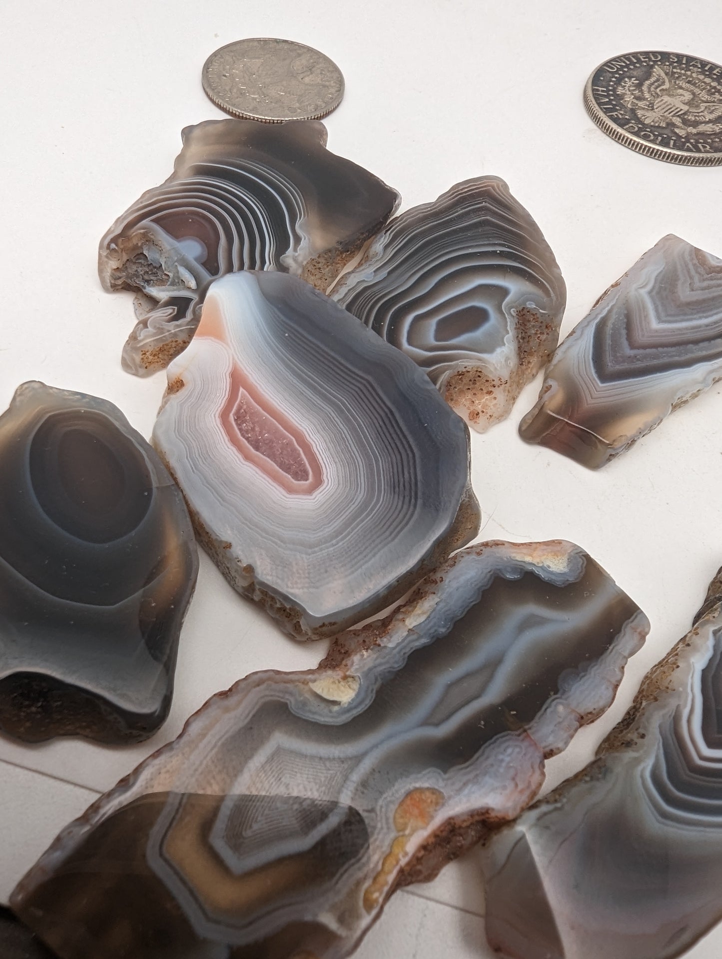 Botswana Agate Slices - 7 piece lot