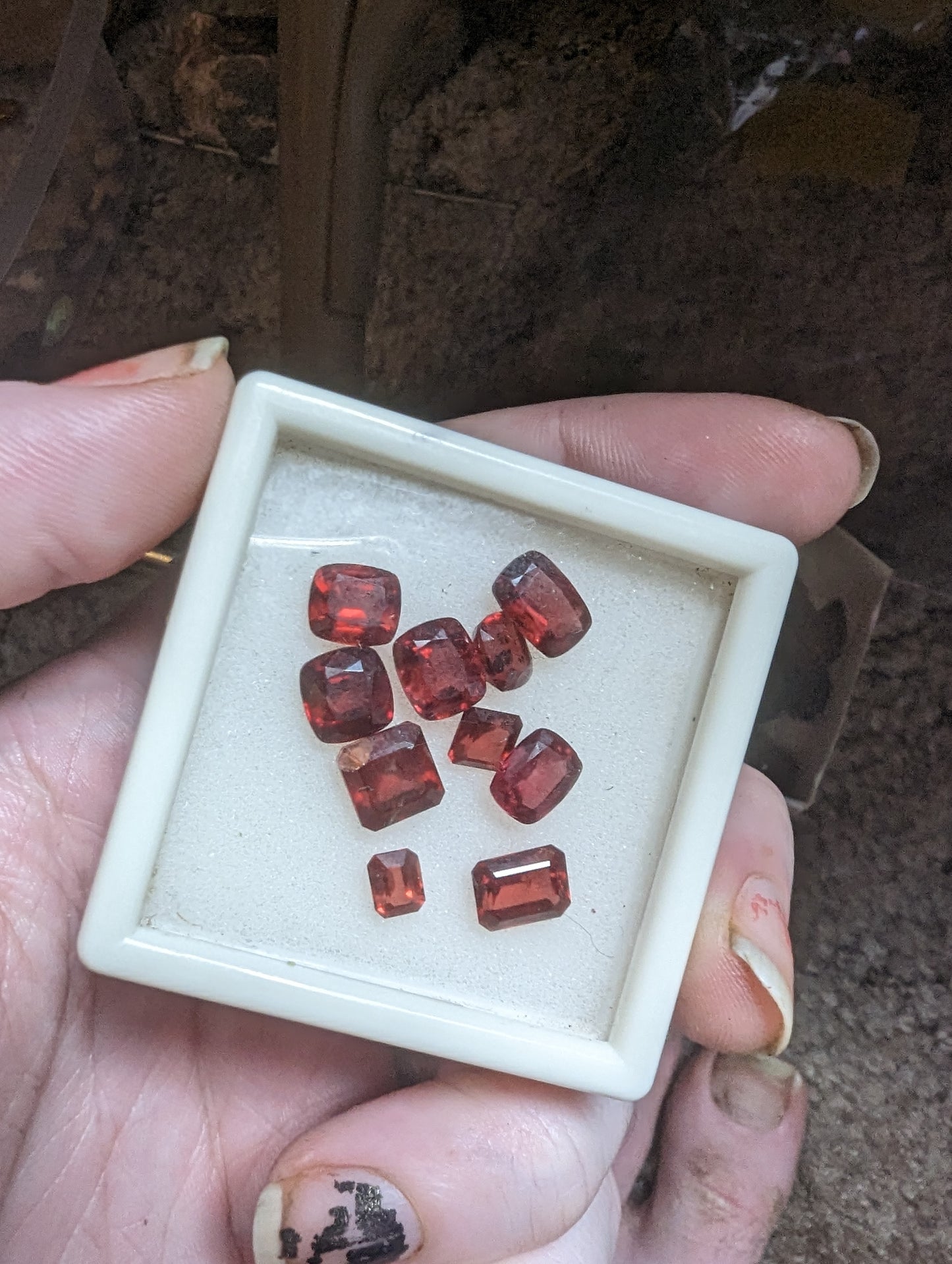 Rhodolite Garnet Facets - 10 pcs - 20.5cts - Whole Lot