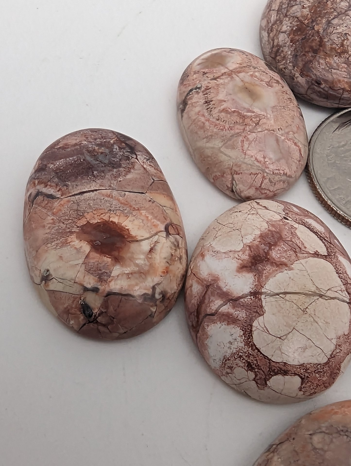 Birds Eye Jasper Cabs - 9pc Lot - 21-28.5mm - 25.62g(128cts)