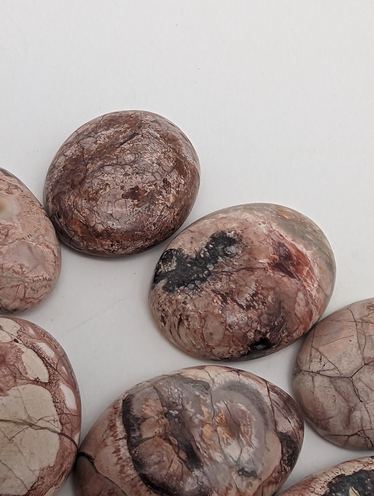 Birds Eye Jasper Cabs - 9pc Lot - 21-28.5mm - 25.62g(128cts)