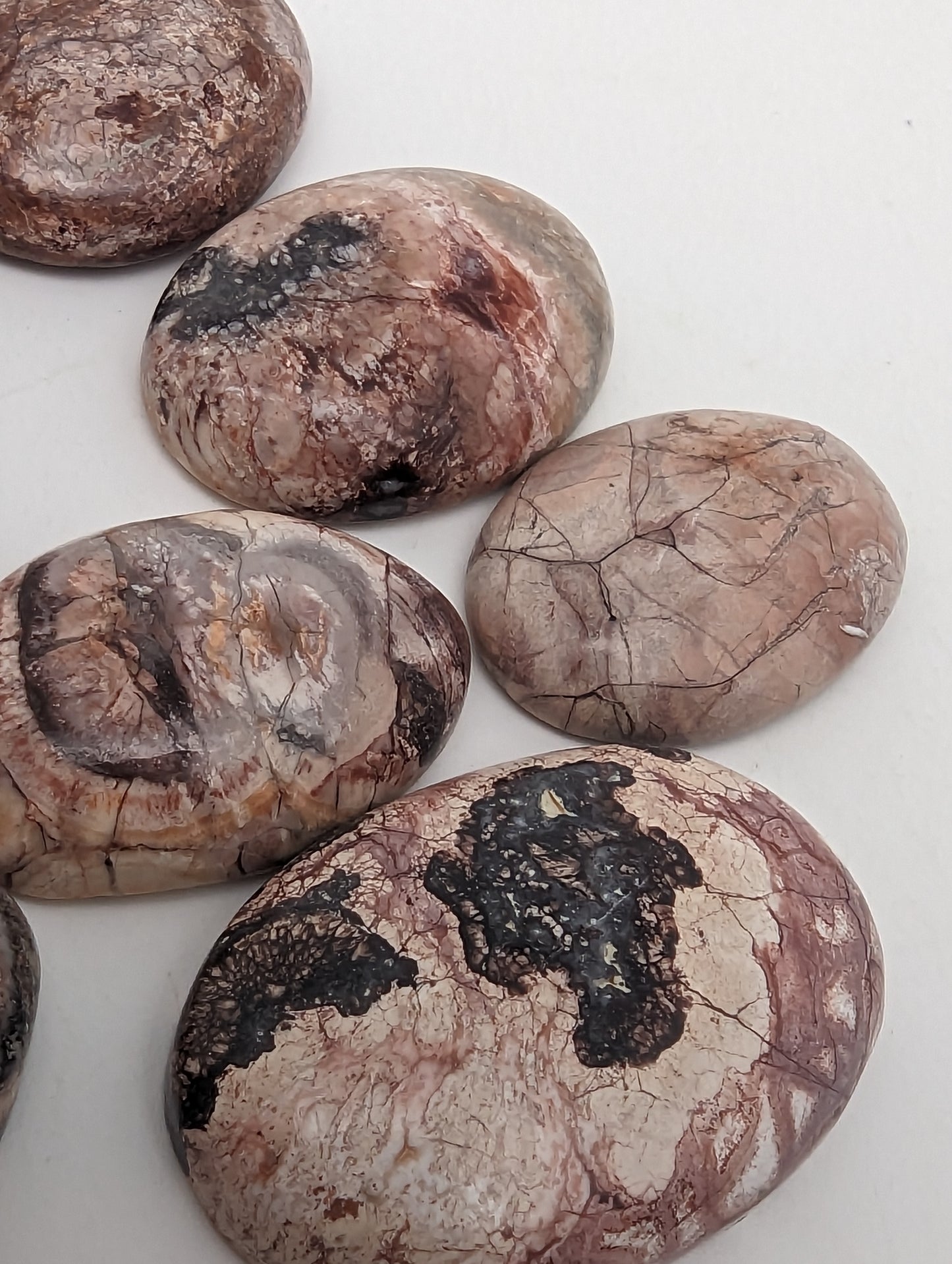 Birds Eye Jasper Cabs - 9pc Lot - 21-28.5mm - 25.62g(128cts)