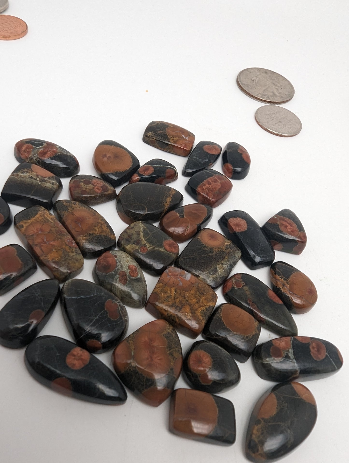 Peanut Butter Obsidian - Ring Size Cabochons