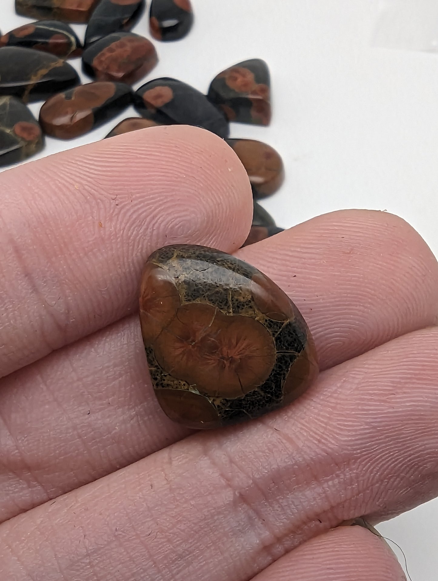 Peanut Butter Obsidian - Ring Size Cabochons