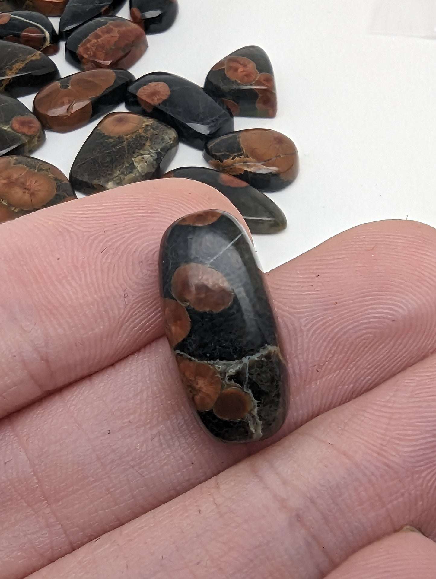 Peanut Butter Obsidian - Ring Size Cabochons